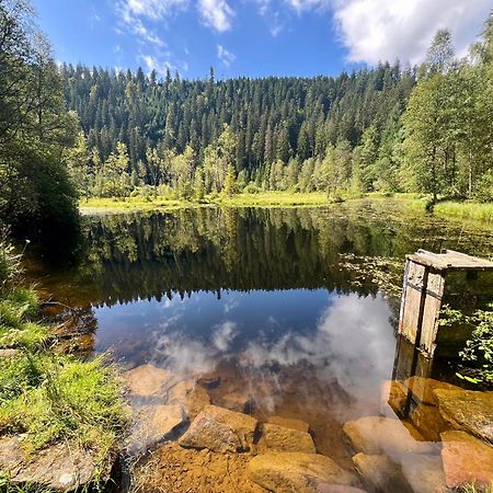 romantisches Winzerhäuschen Bühl Exterior foto