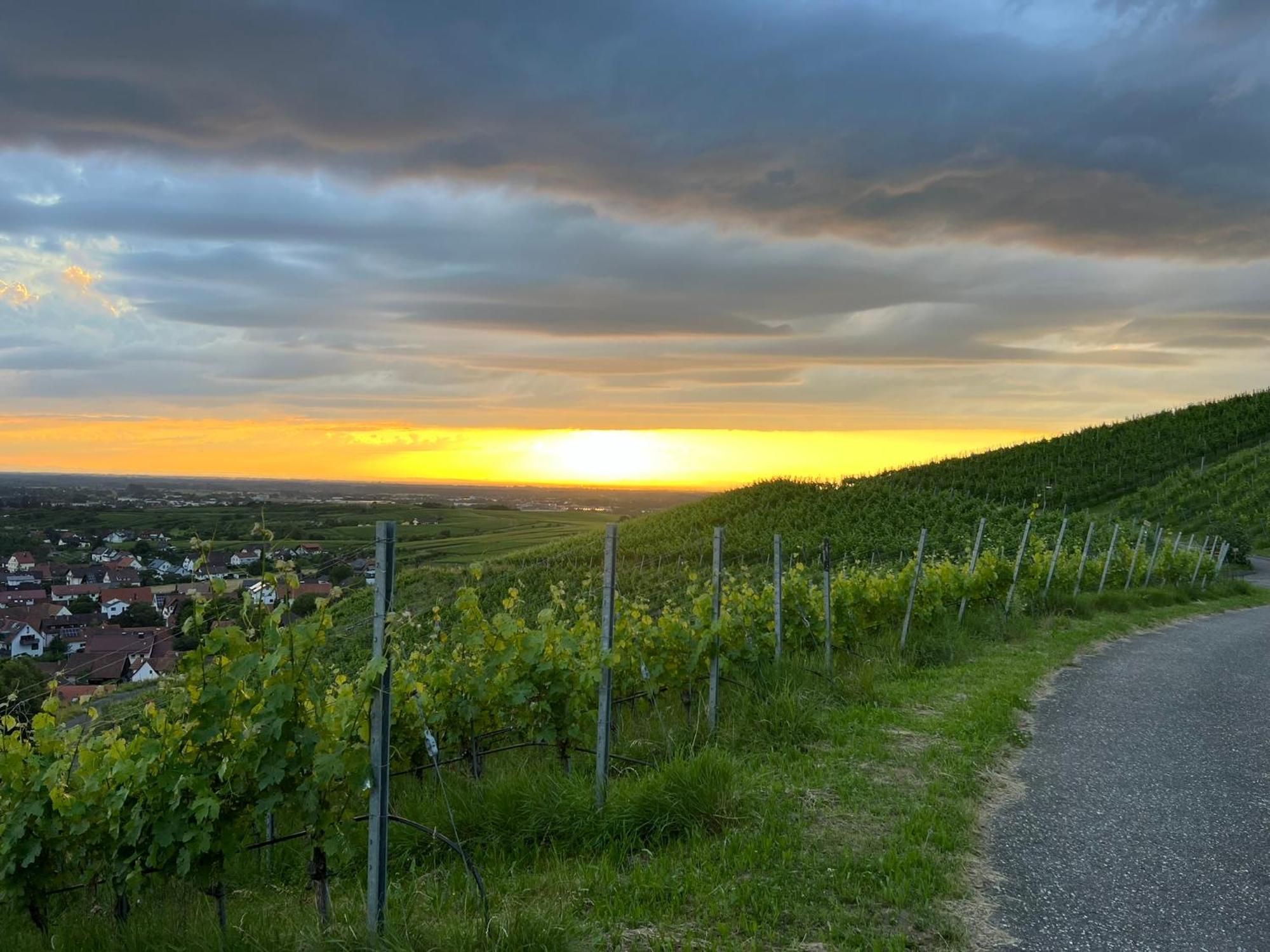 romantisches Winzerhäuschen Bühl Exterior foto